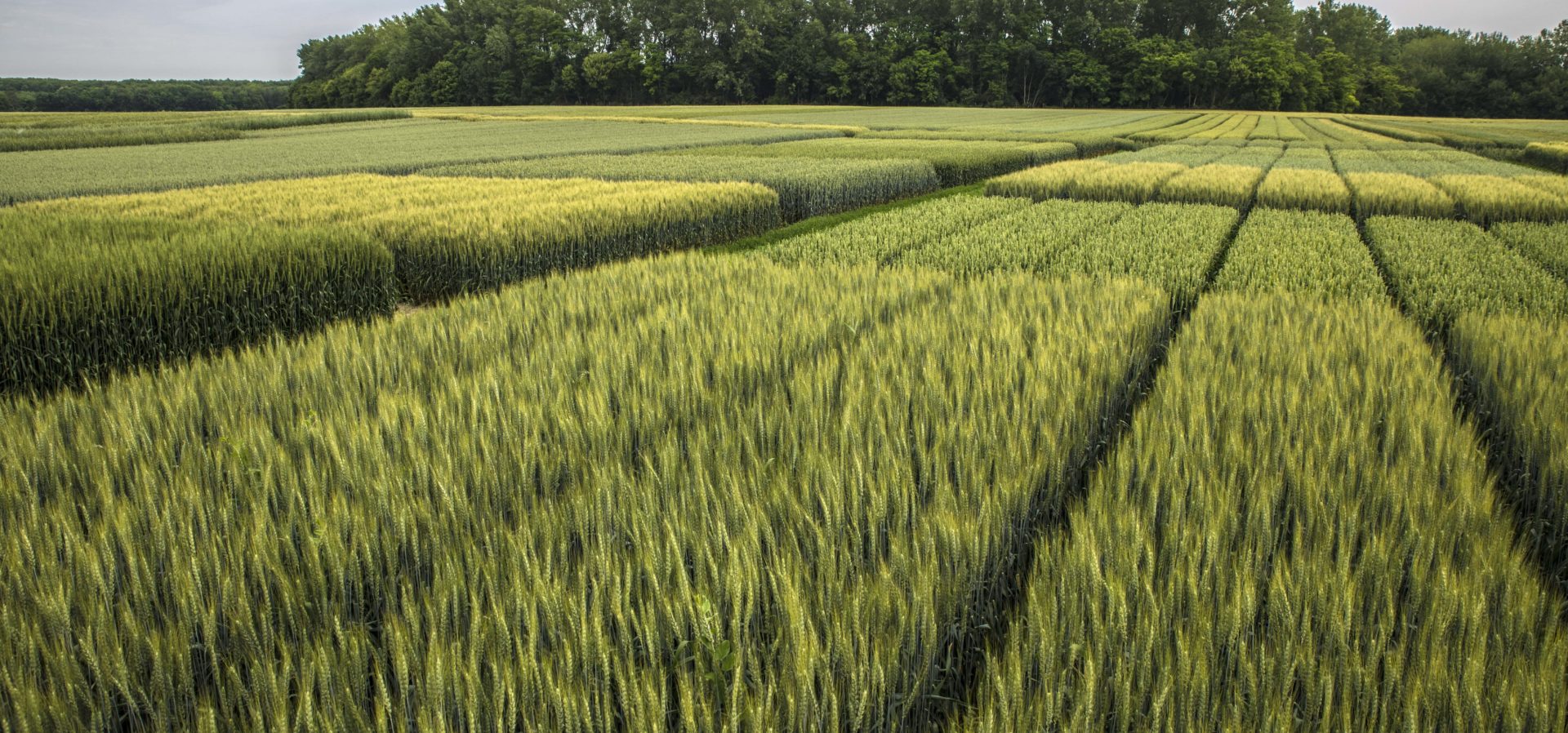 KG1 1901 Fúoldal min